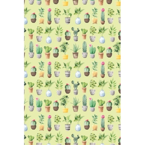 Postcard #2427 | Potted Plants Pattern