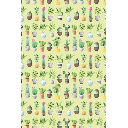 Postcard #2427 | Potted Plants Pattern