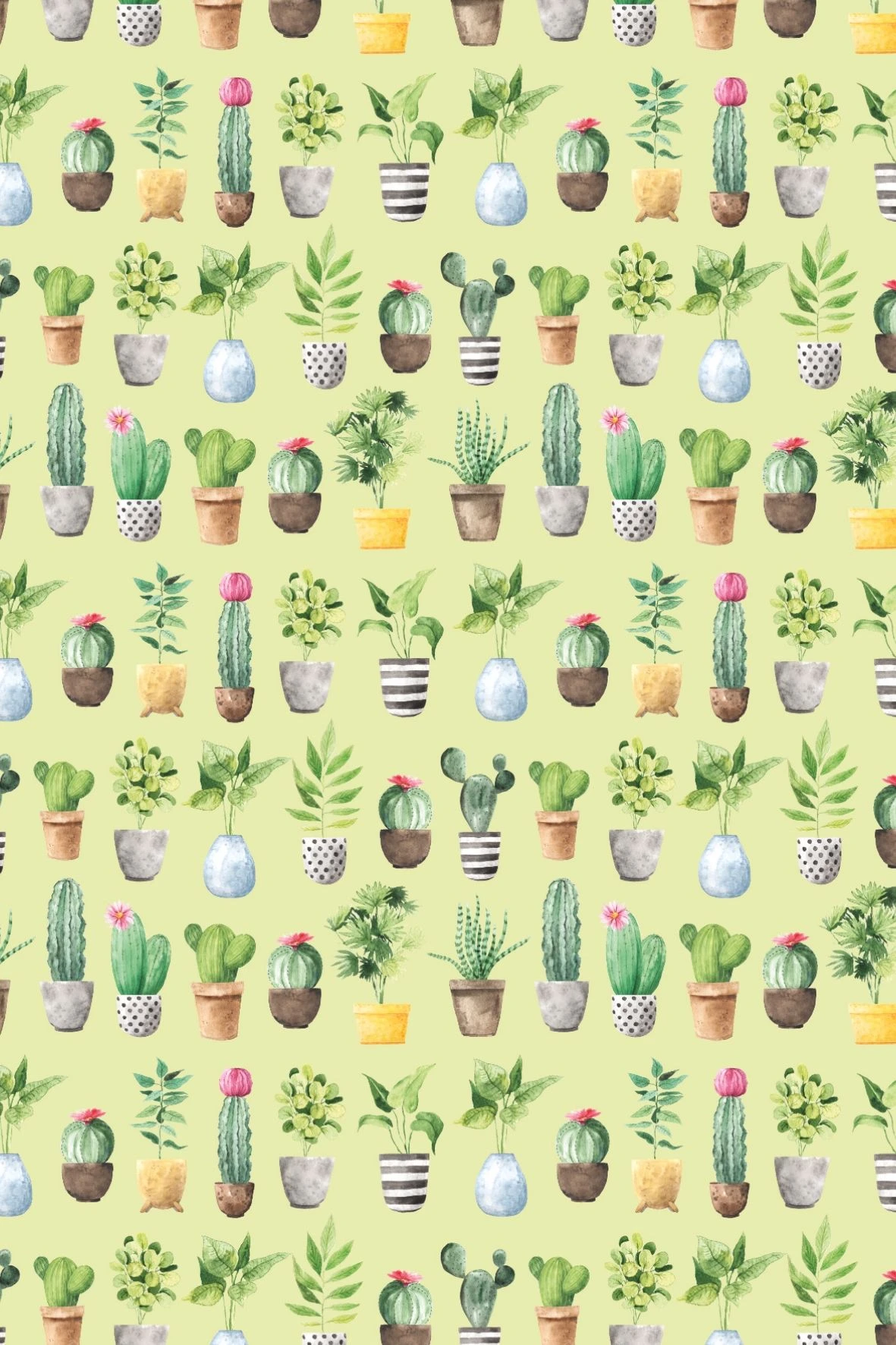 Postcard #2427 | Potted Plants Pattern