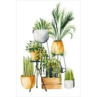 Postcard #2428 | Watercolor Houseplants