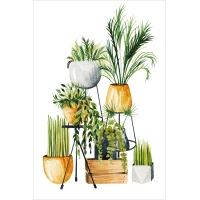Postcard #2428 | Watercolor Houseplants