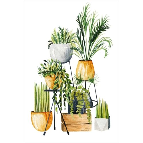 Postcard #2428 | Watercolor Houseplants