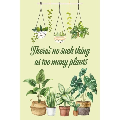 Postcard #2429 | No Such Thing as Too Many Plants