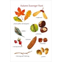 Postcard #2465: Autumn Scavenger Hunt