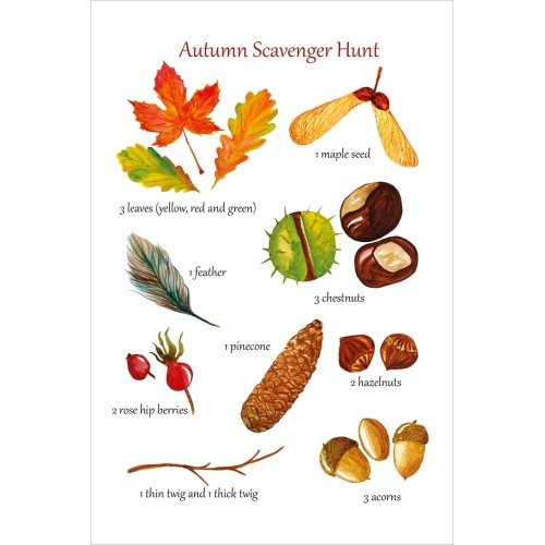 Postcard #2465: Autumn Scavenger Hunt