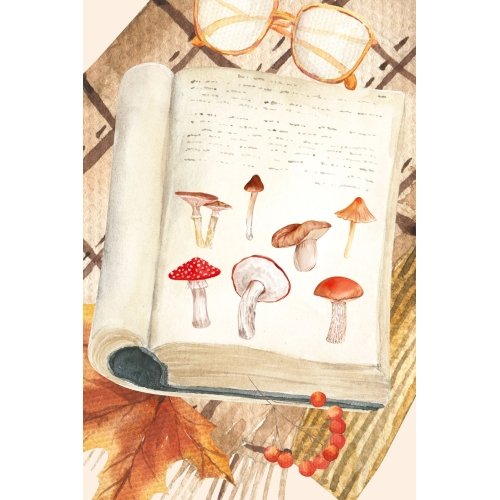 Postcard #2468: The Mushroom Book
