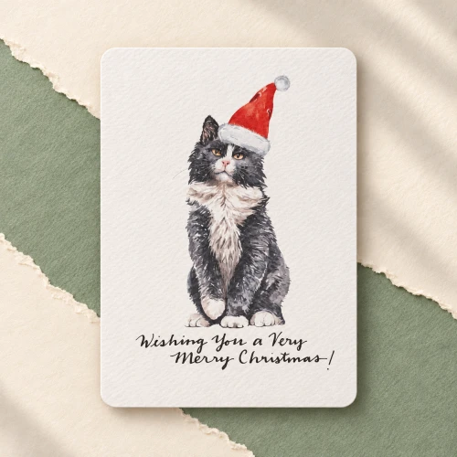 Textured Paper Postcard: Santa Cat