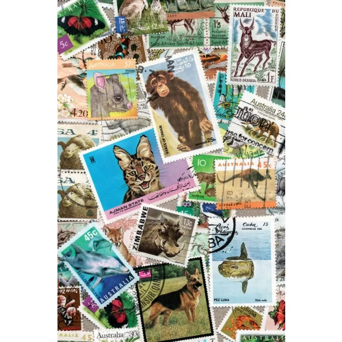 Postcard #858