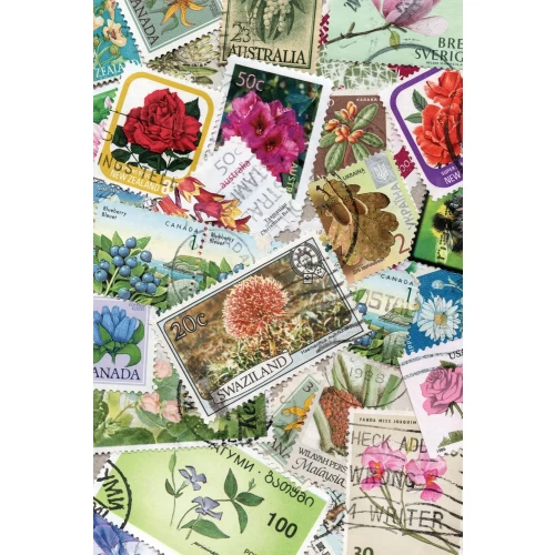 Postcard #904
